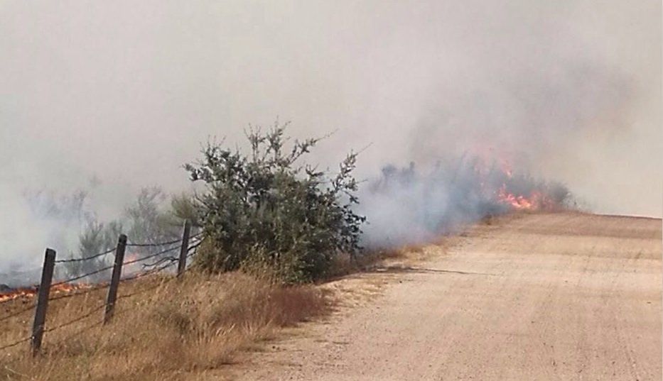  Incendio en Gallegos de Argañán 