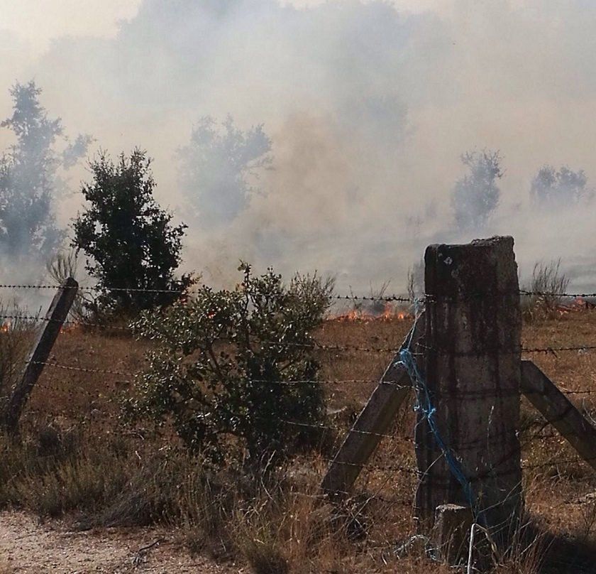  Incendio en Gallegos de Argañán 