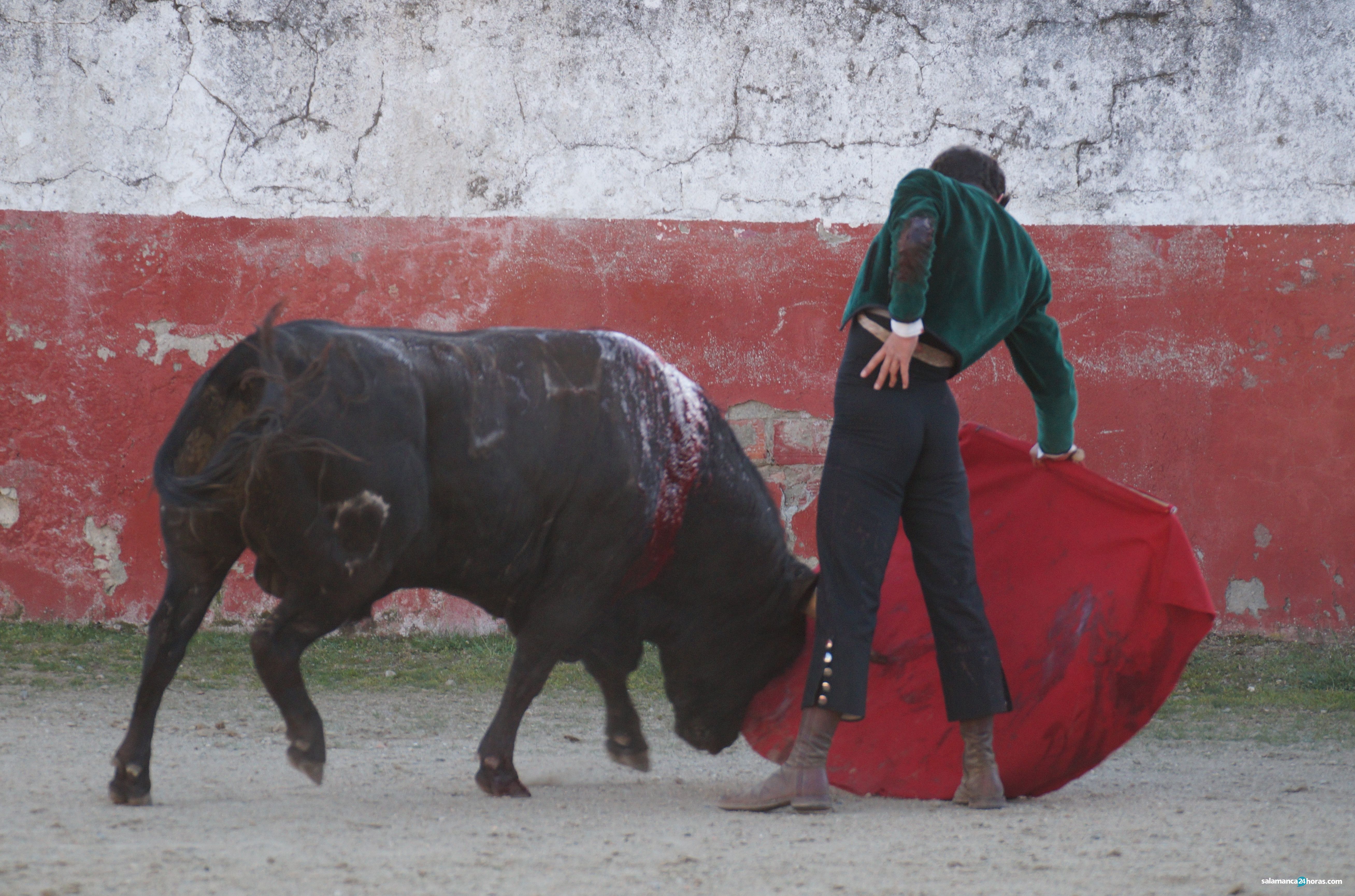 Juan del Álamo y Valentín Hoyos se preparan para sus próximos compromisos en la ganadería de Pilar Población