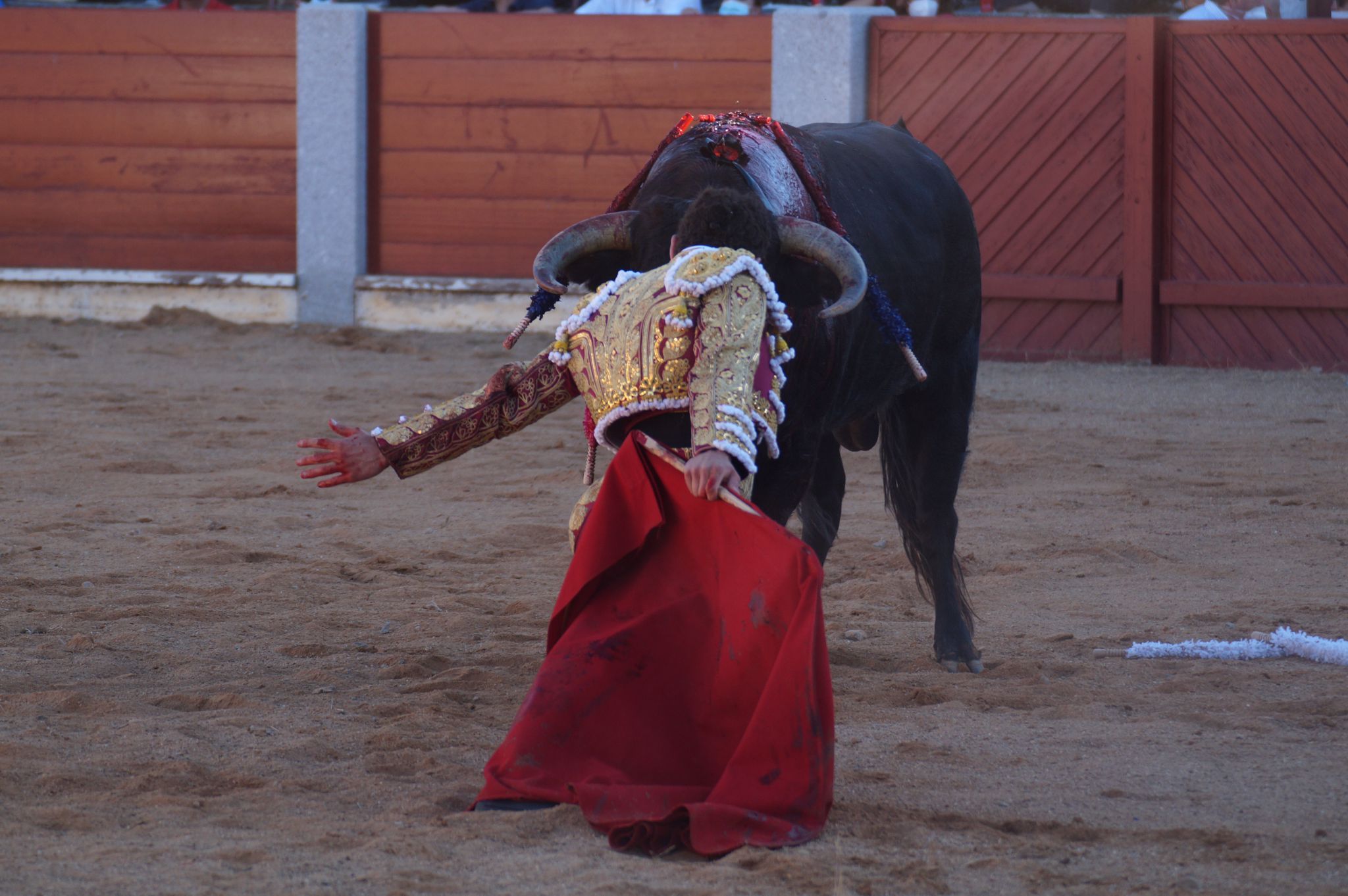 Corrida de toros en Guijuelo (17)