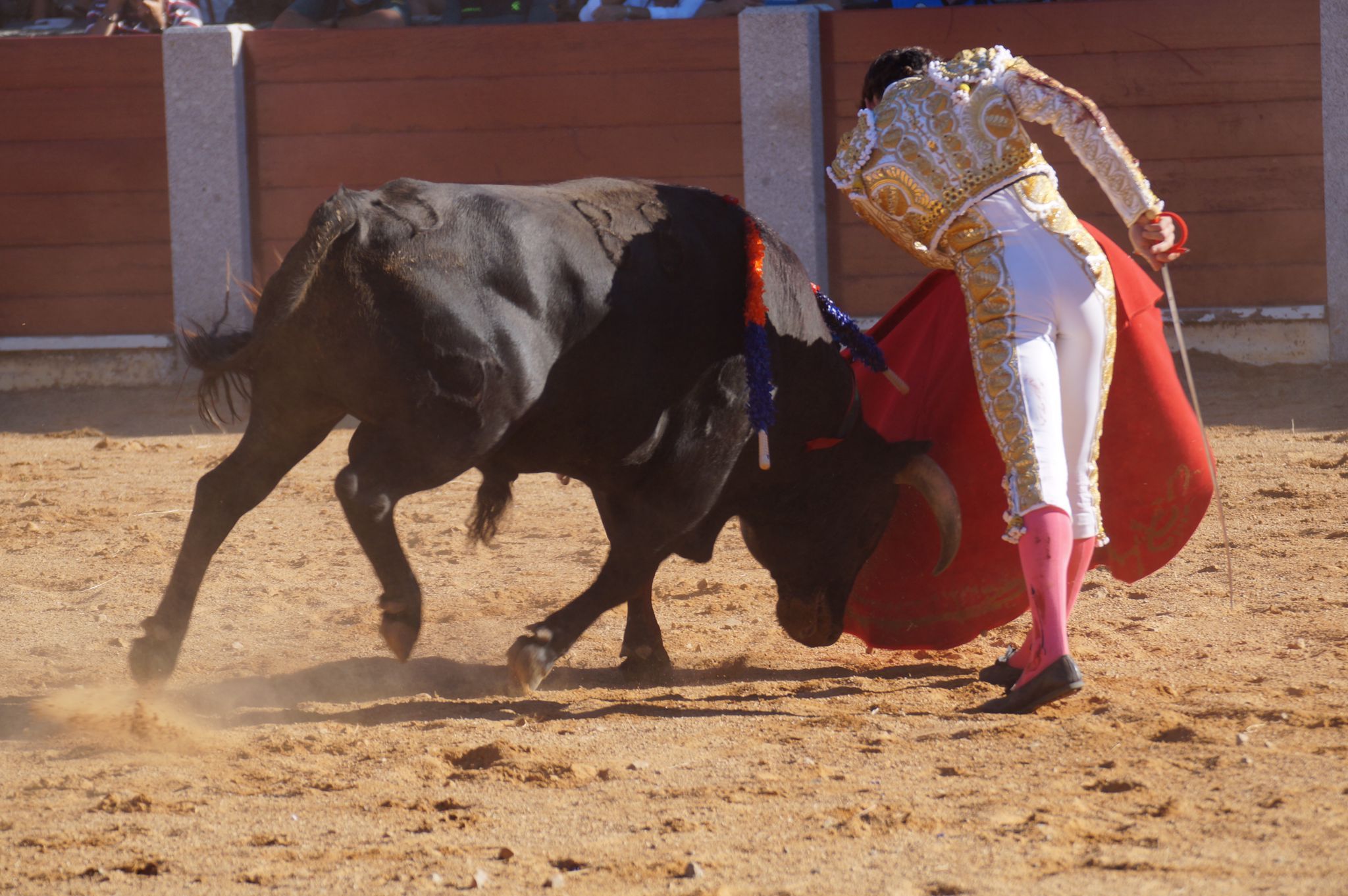 Corrida de toros en Guijuelo (19)