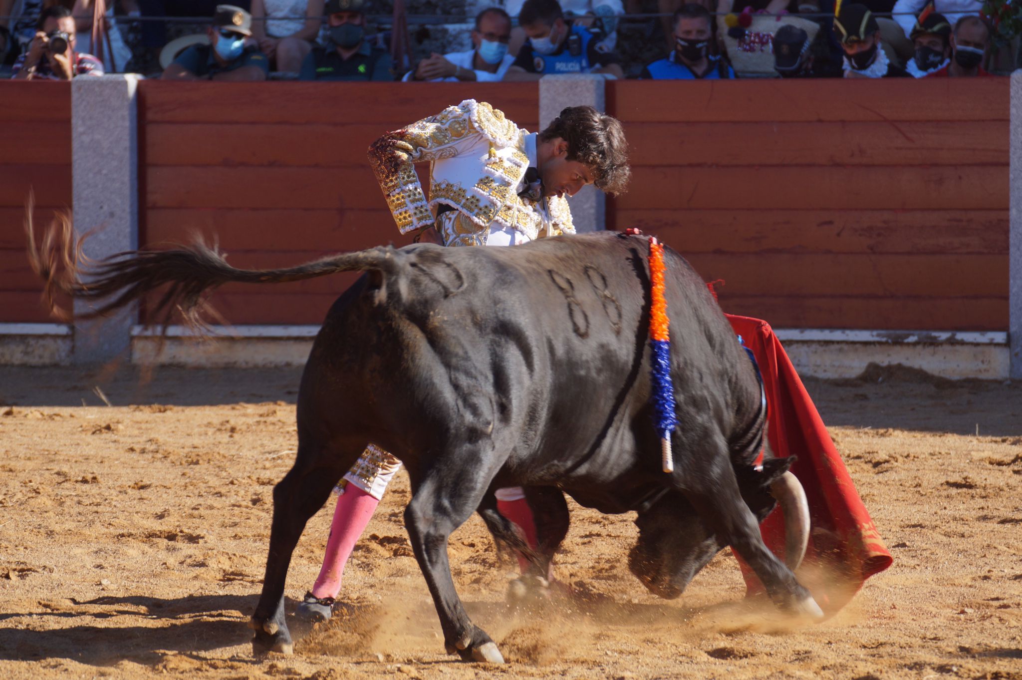 Corrida de toros en Guijuelo (22)