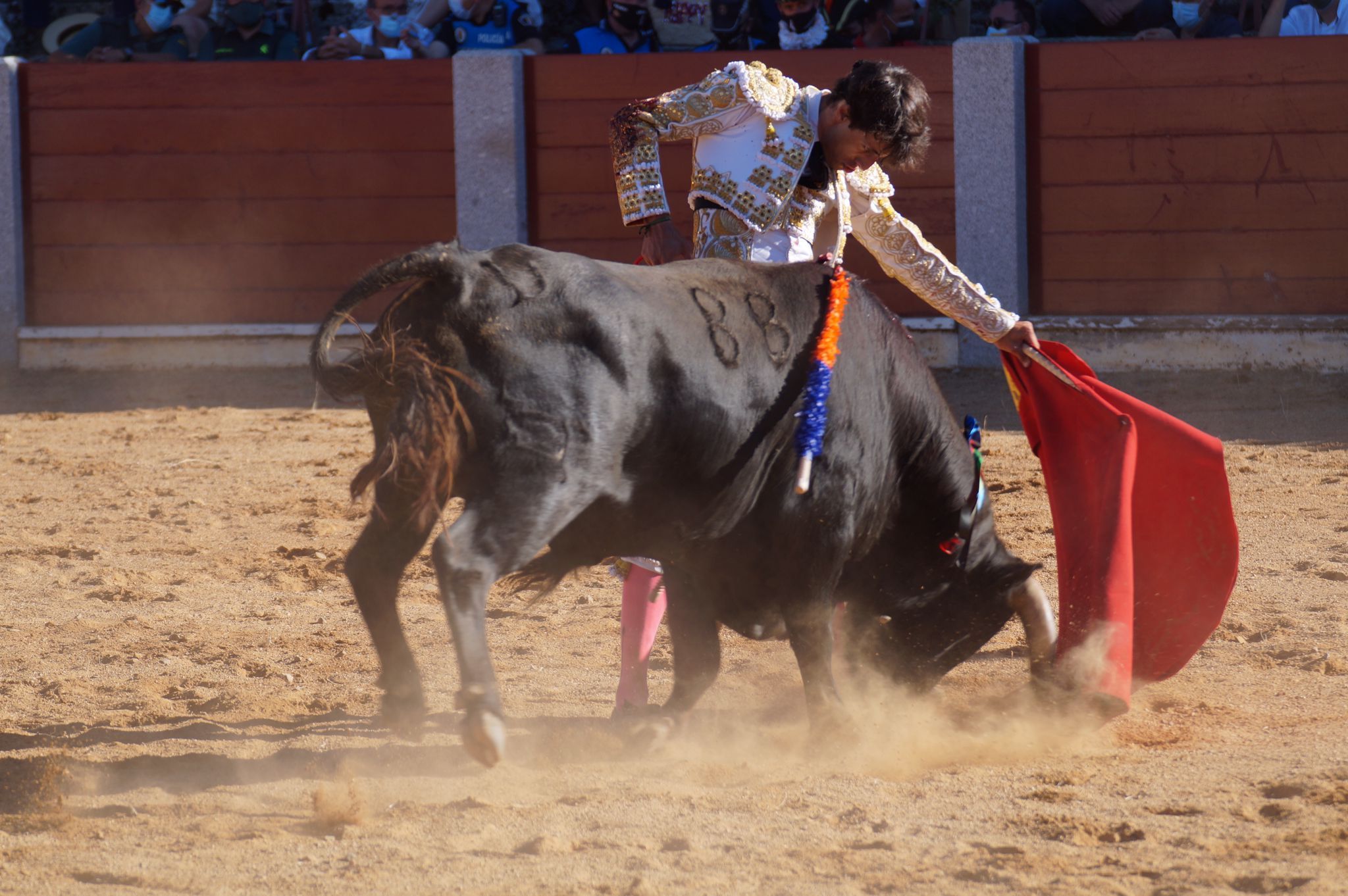 Corrida de toros en Guijuelo (23)