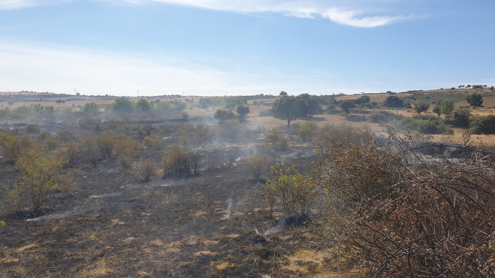 incendio en Hinojosa del Duero (4)