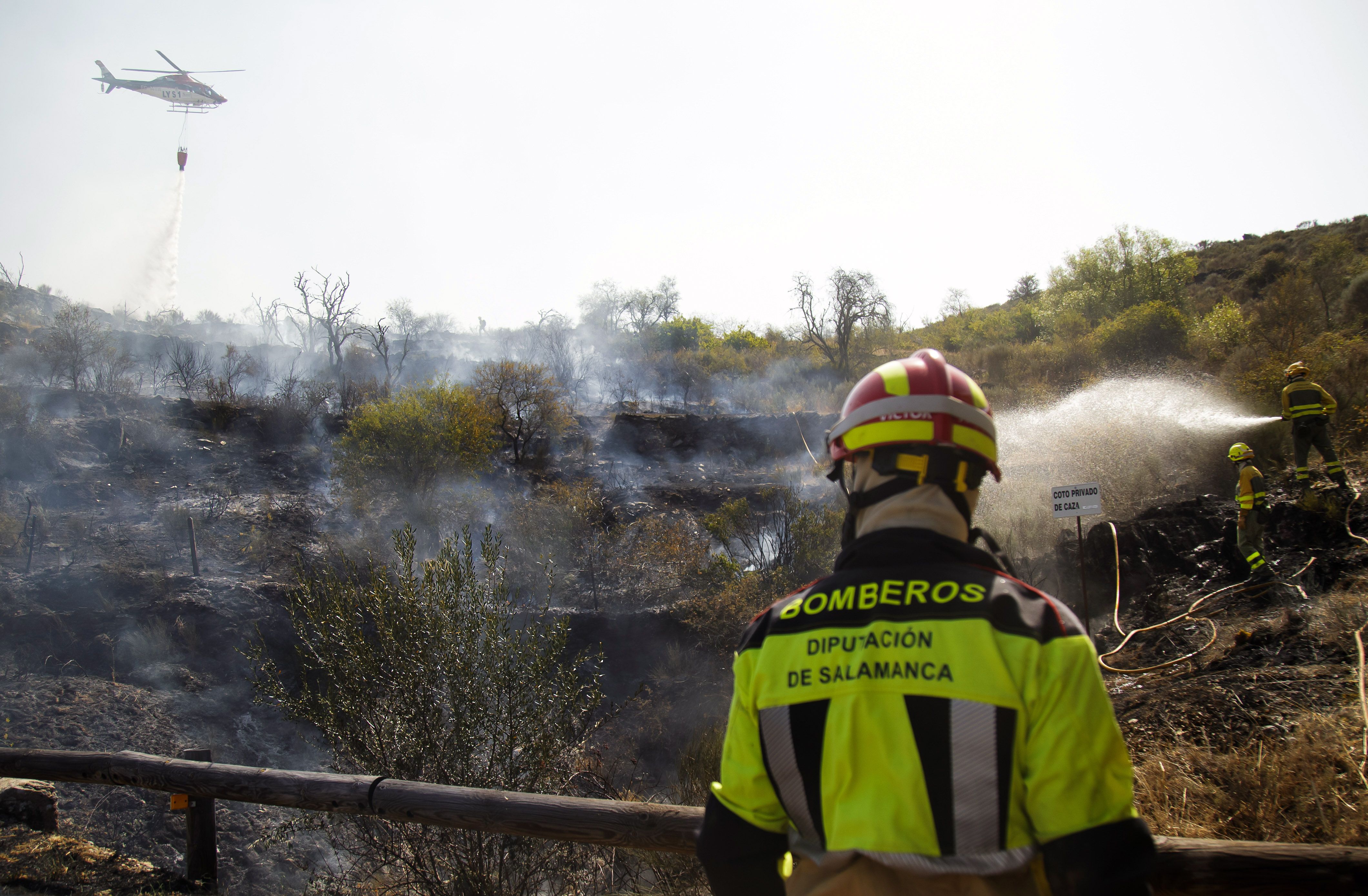 Incendio forestal en Siega Verde (Salamanca) (4)