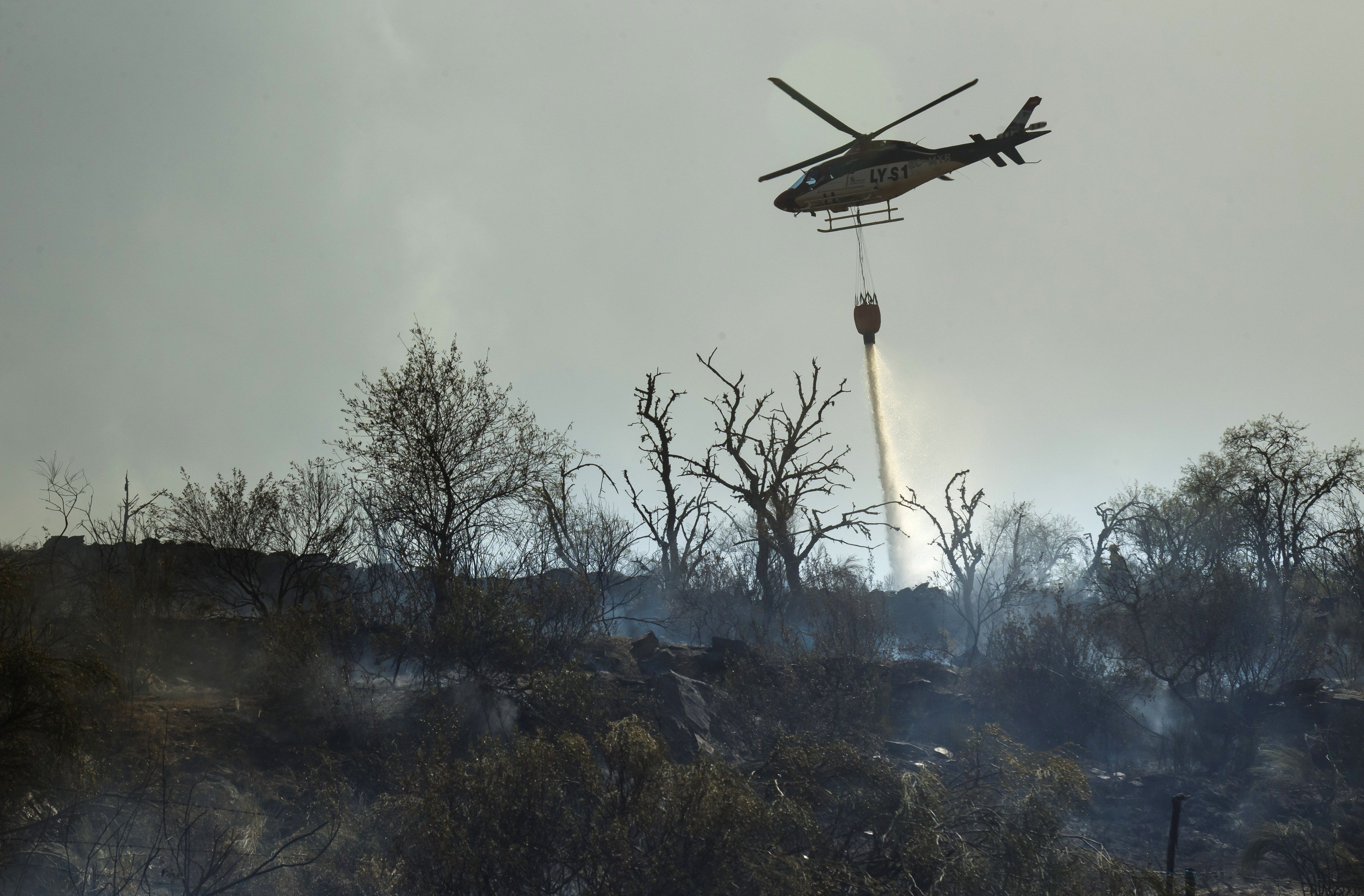 Incendio forestal en Siega Verde | Foto: ICAL