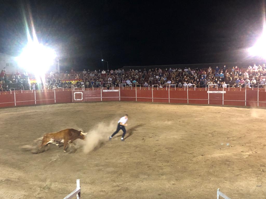 Concurso de cortes y saltos en Villarino (6)