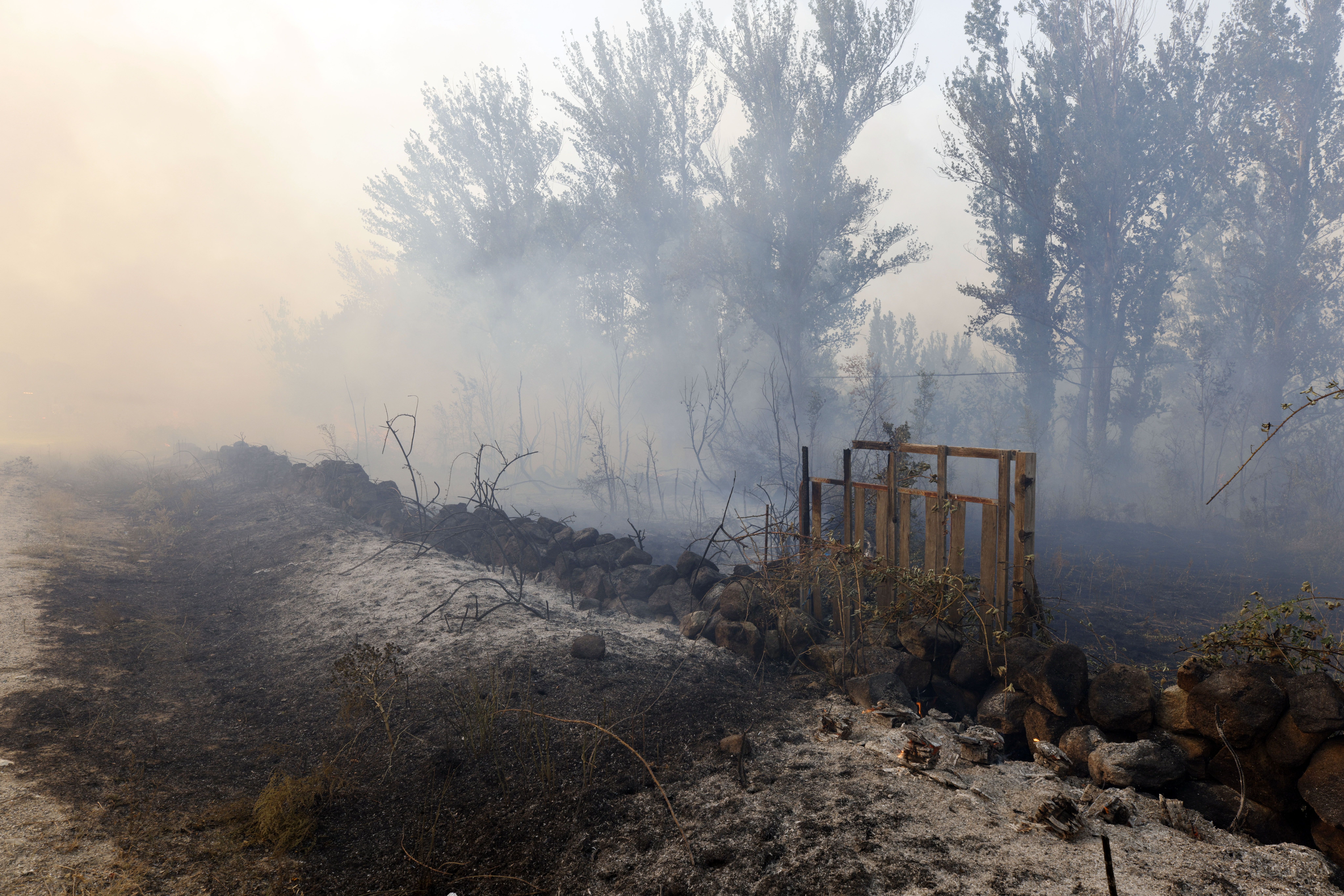Incendio en Navalacruz y localidades adyacentes (Ávila). Foto ICAL.  (9)