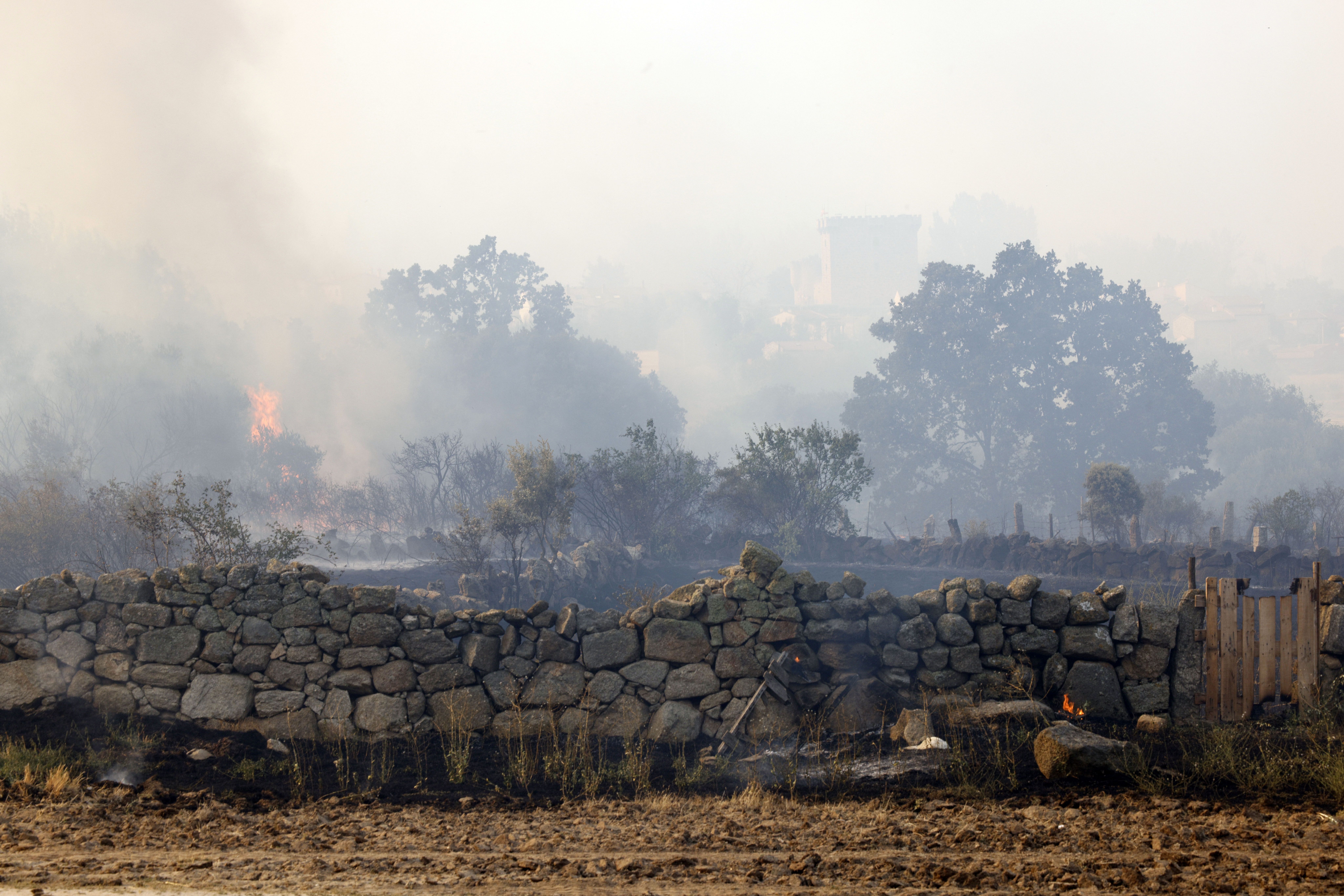 Incendio en Navalacruz y localidades adyacentes (Ávila). Foto ICAL.  (12)