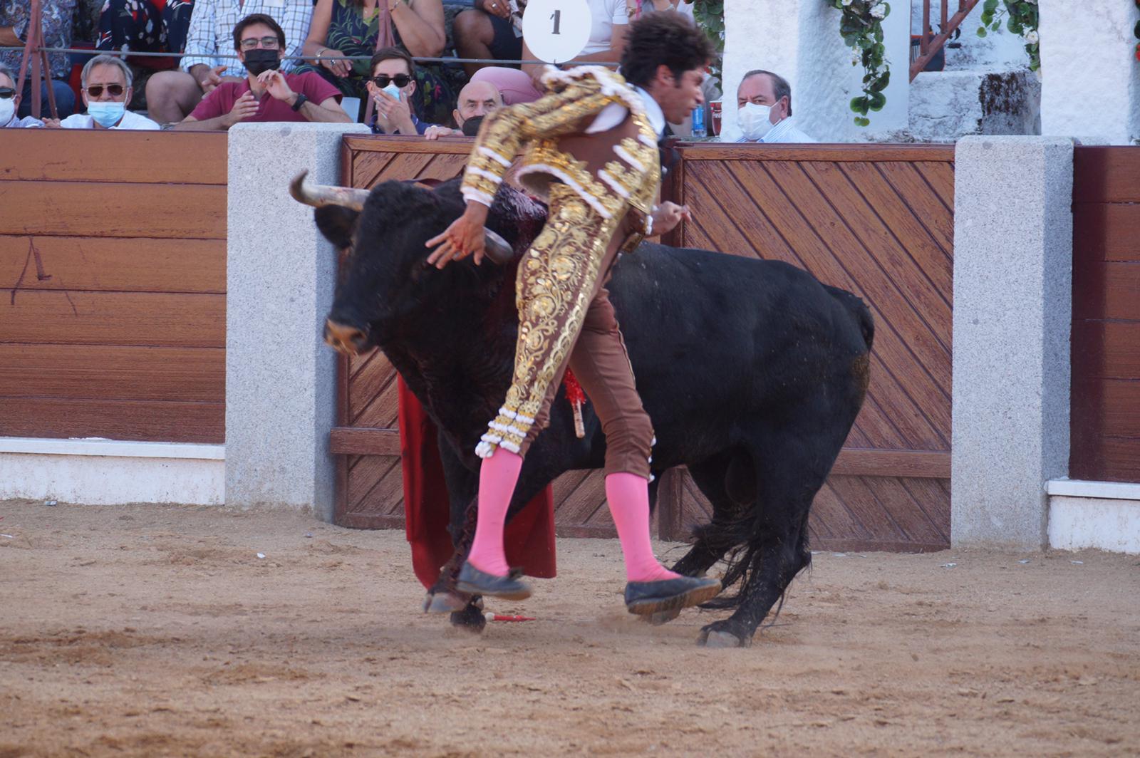 Cayetano, golpeado en la plaza de Guijuelo (6)