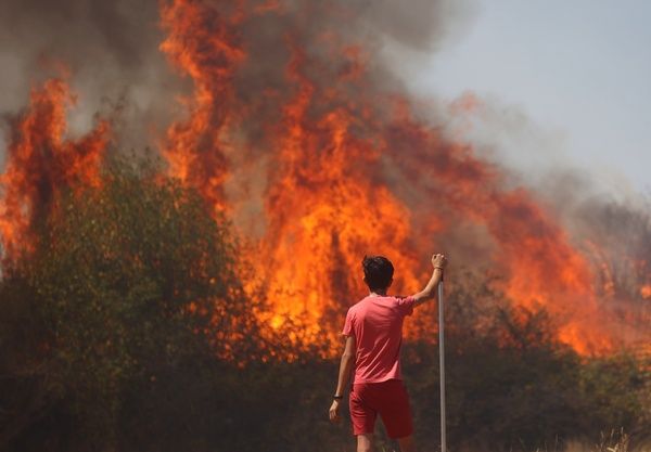 Incendio forestal en San Felices de los Gallegos durante el verano pasado. Fotos Vicente, ICAL  (16)