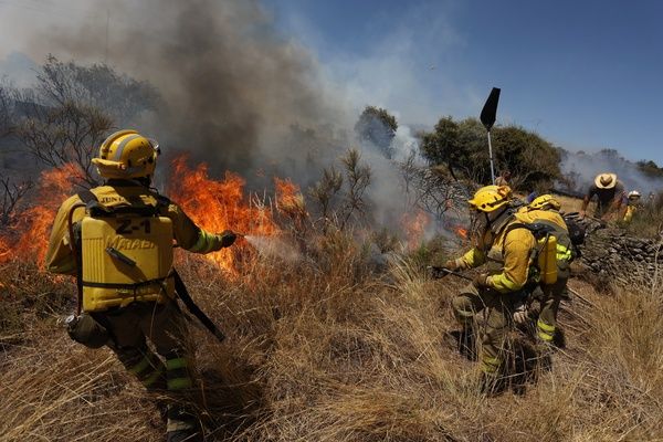 Incendio forestal en San Felices de los Gallegos. Fotos Vicente, ICAL  (17)