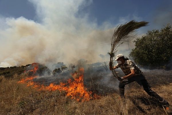 Incendio forestal en San Felices de los Gallegos. Fotos Vicente, ICAL  (3)
