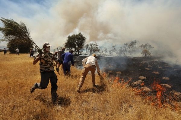 Incendio forestal en San Felices de los Gallegos. Fotos Vicente, ICAL  (11)