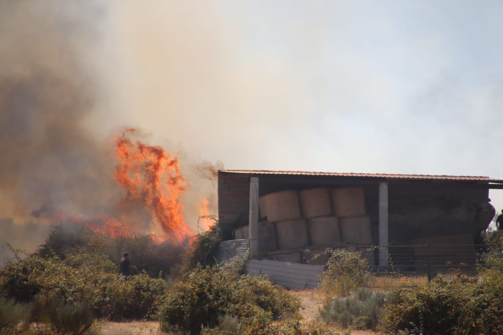 Reactivación del incendio en San Felices de los Gallegos