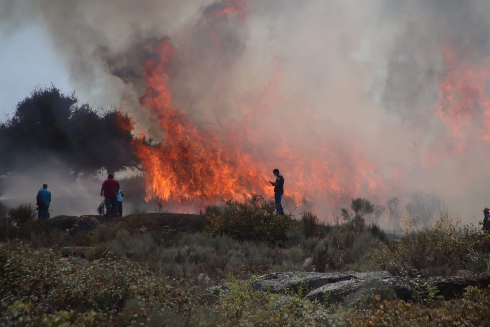 Reactivación del incendio en San Felices de los Gallegos