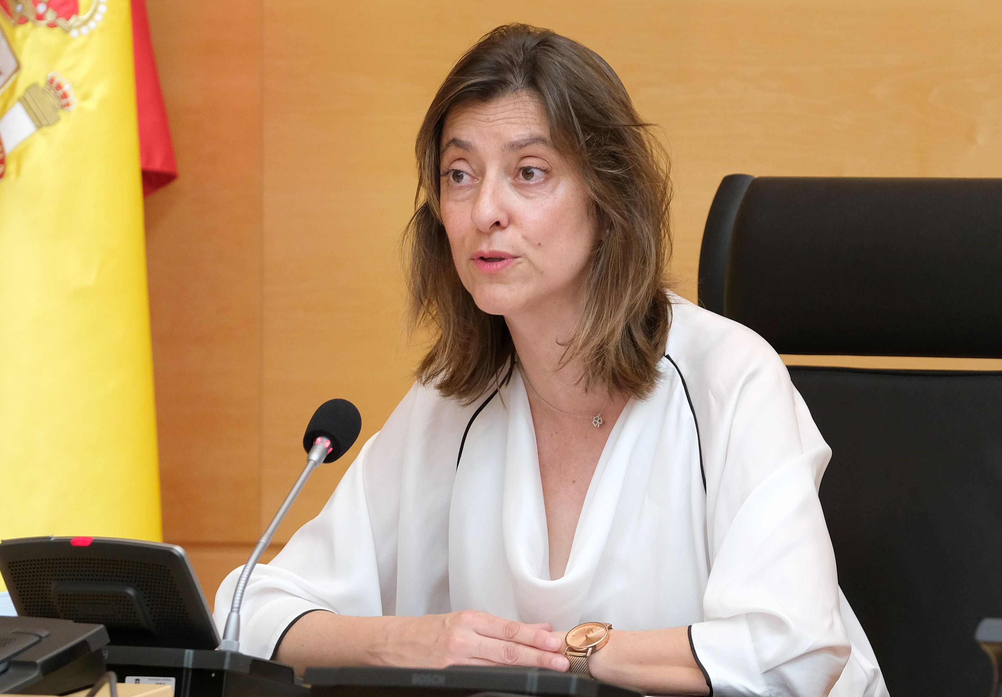 La directora general de Familias, Infancia y Atención a la Diversidad, Esperanza Vázquez. ICAL