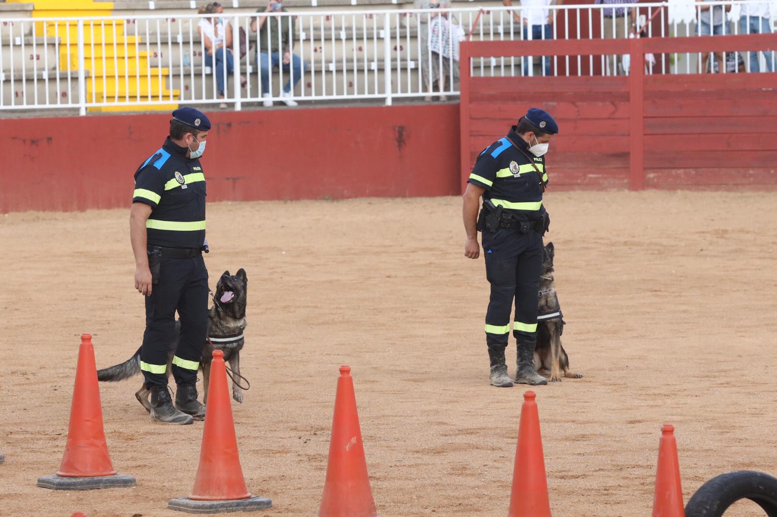 Exhibición de la Unidad Canina de la Policía Local de Salamanca en Salamaq