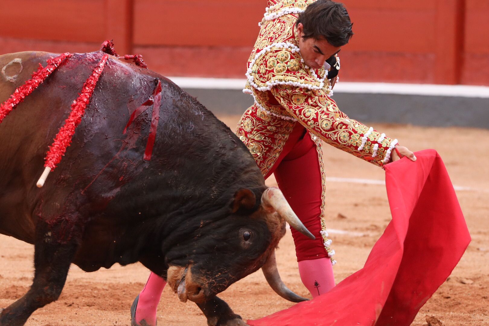 López Chaves (primer toro)  Primera corrida de abono de la Feria Virgen de la Vega 2021 (2)