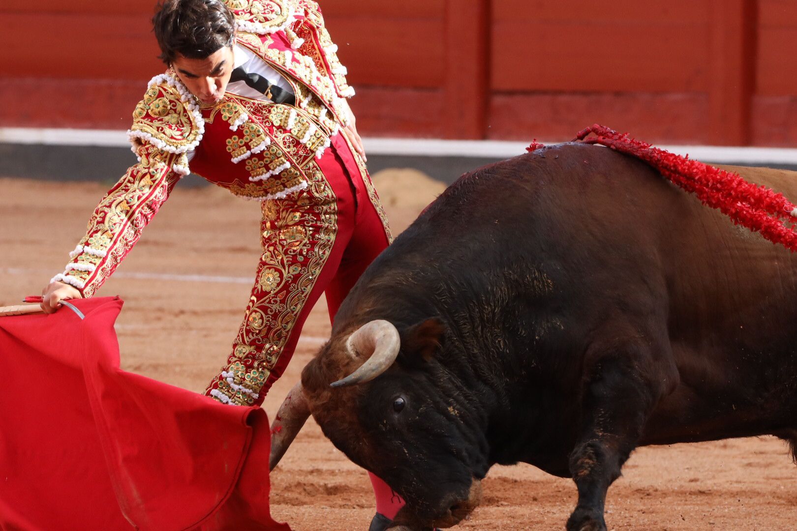 López Chaves (primer toro)   Primera corrida de abono de la Feria Virgen de la Vega 2021 (3)