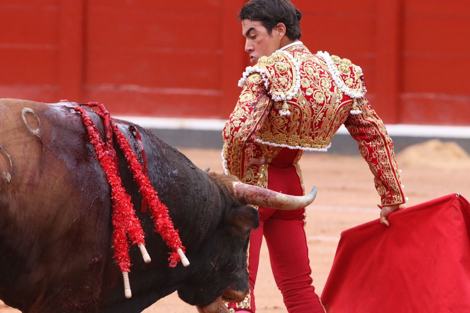 López Chaves (primer toro)  Primera corrida de abono de la Feria Virgen de la Vega 2021 (5)