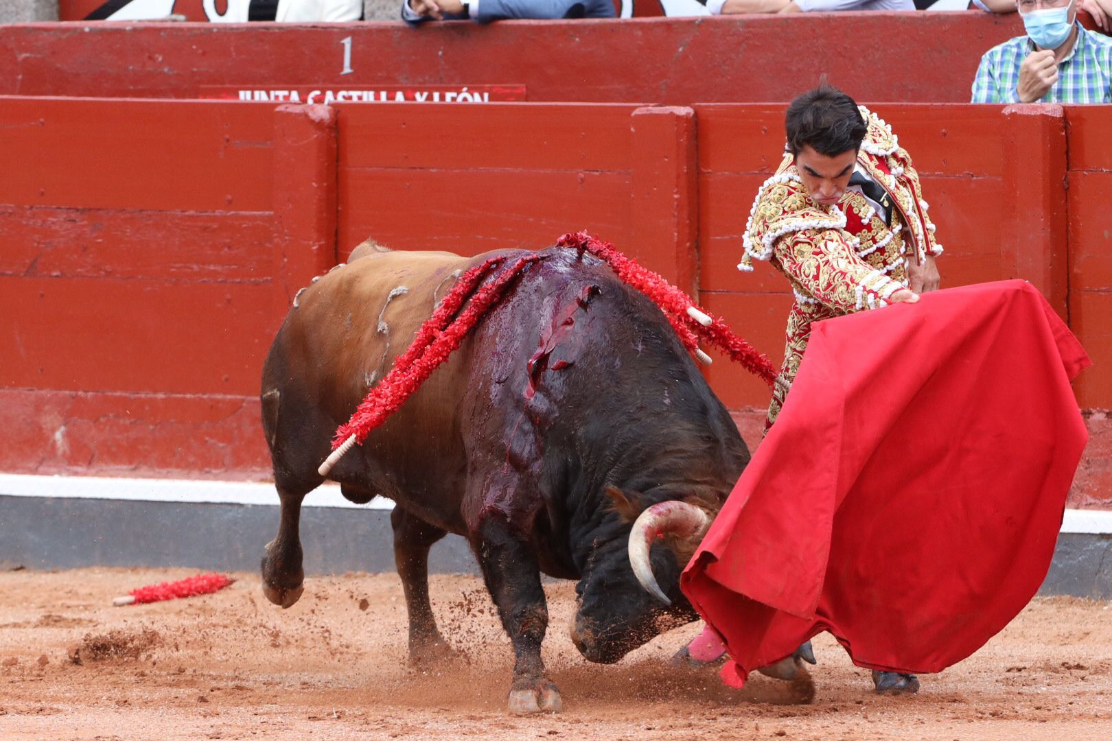 López Chaves (primer toro)   Primera corrida de abono de la Feria Virgen de la Vega 2021 (7)
