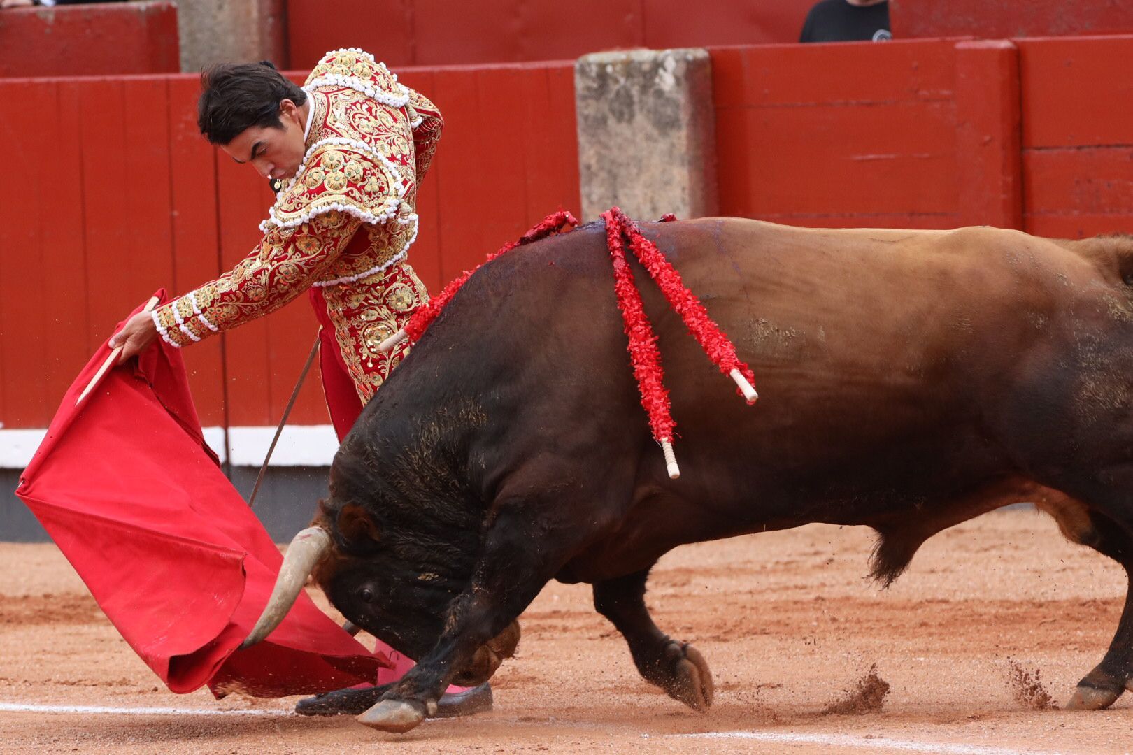 López Chaves (primer toro)    Primera corrida de abono de la Feria Virgen de la Vega 2021 (9)