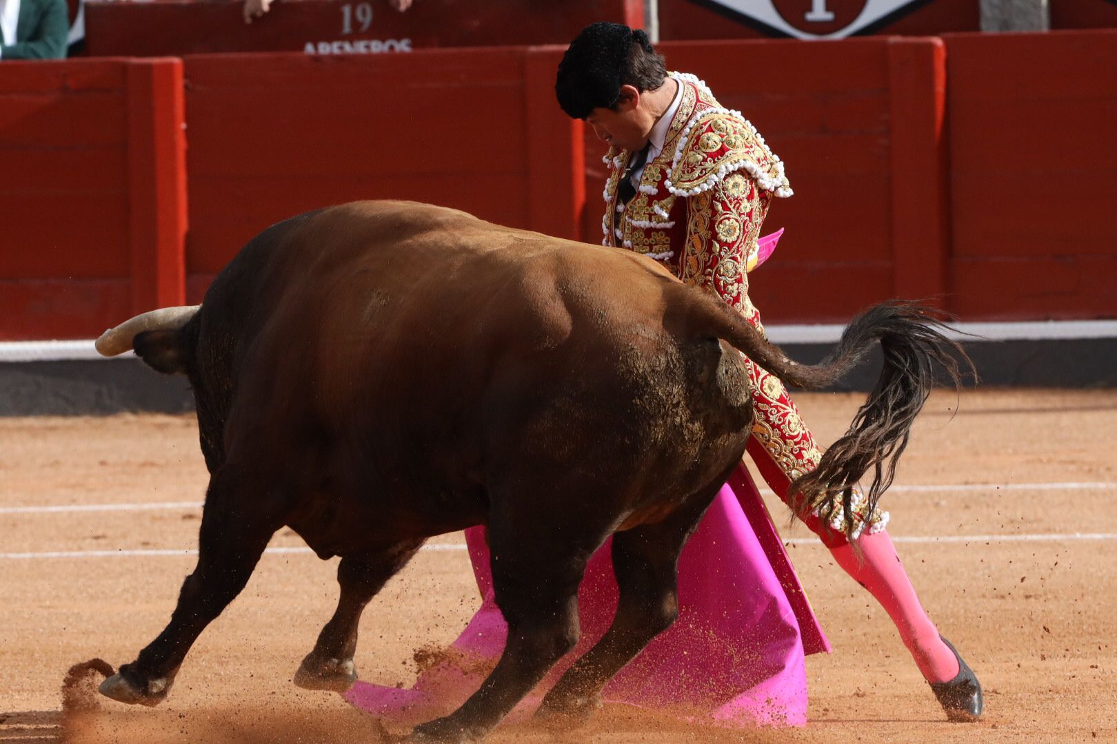 López Chaves (primer toro)   Primera corrida de abono de la Feria Virgen de la Vega 2021 (15)