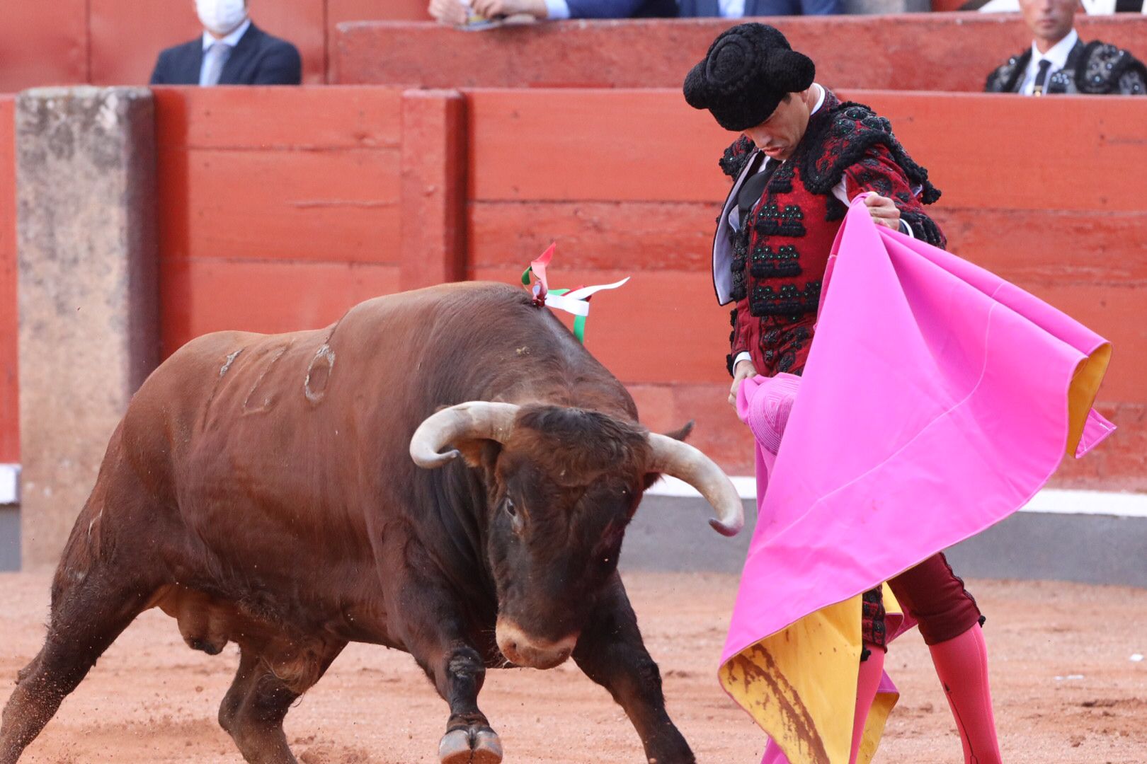 José María Manzanares (primer toro) Primera corrida de abono de la Feria Virgen de la Vega 2021 (3)