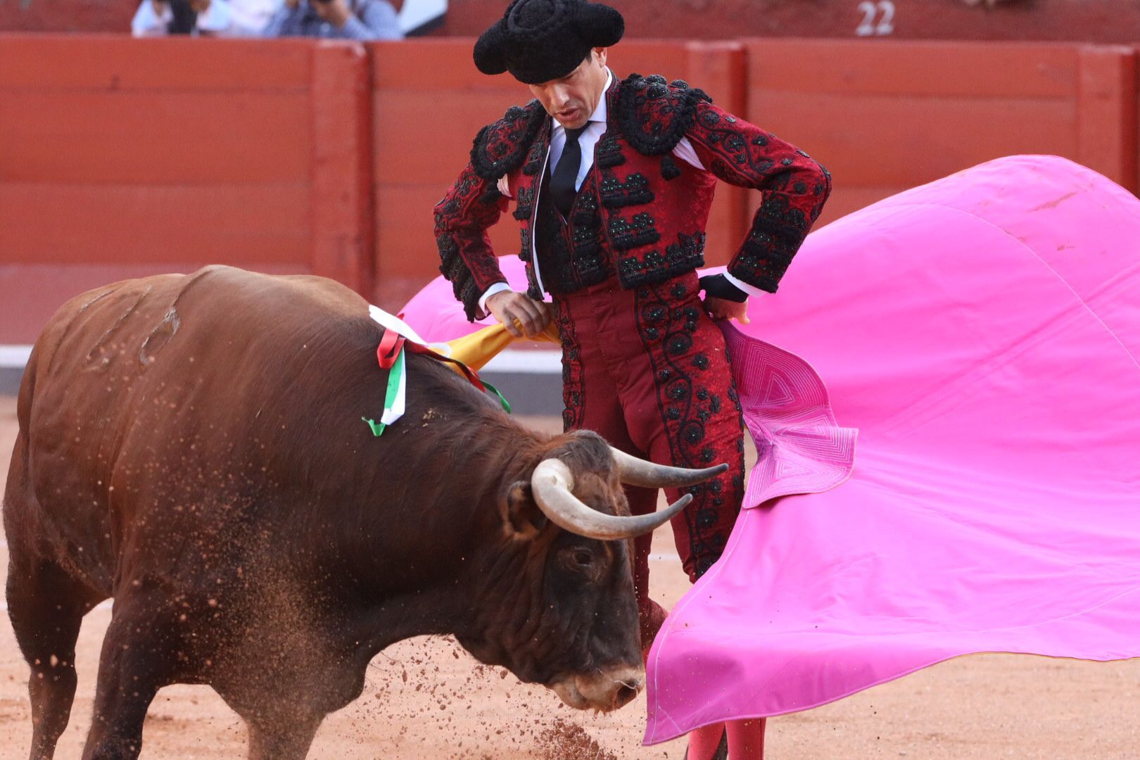 José María Manzanares (primer toro) Primera corrida de abono de la Feria Virgen de la Vega 2021 (5)