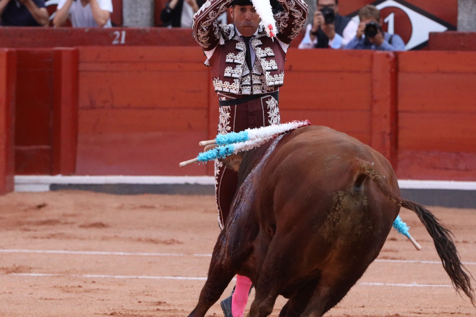 José María Manzanares (primer toro) Primera corrida de abono de la Feria Virgen de la Vega 2021 (6)