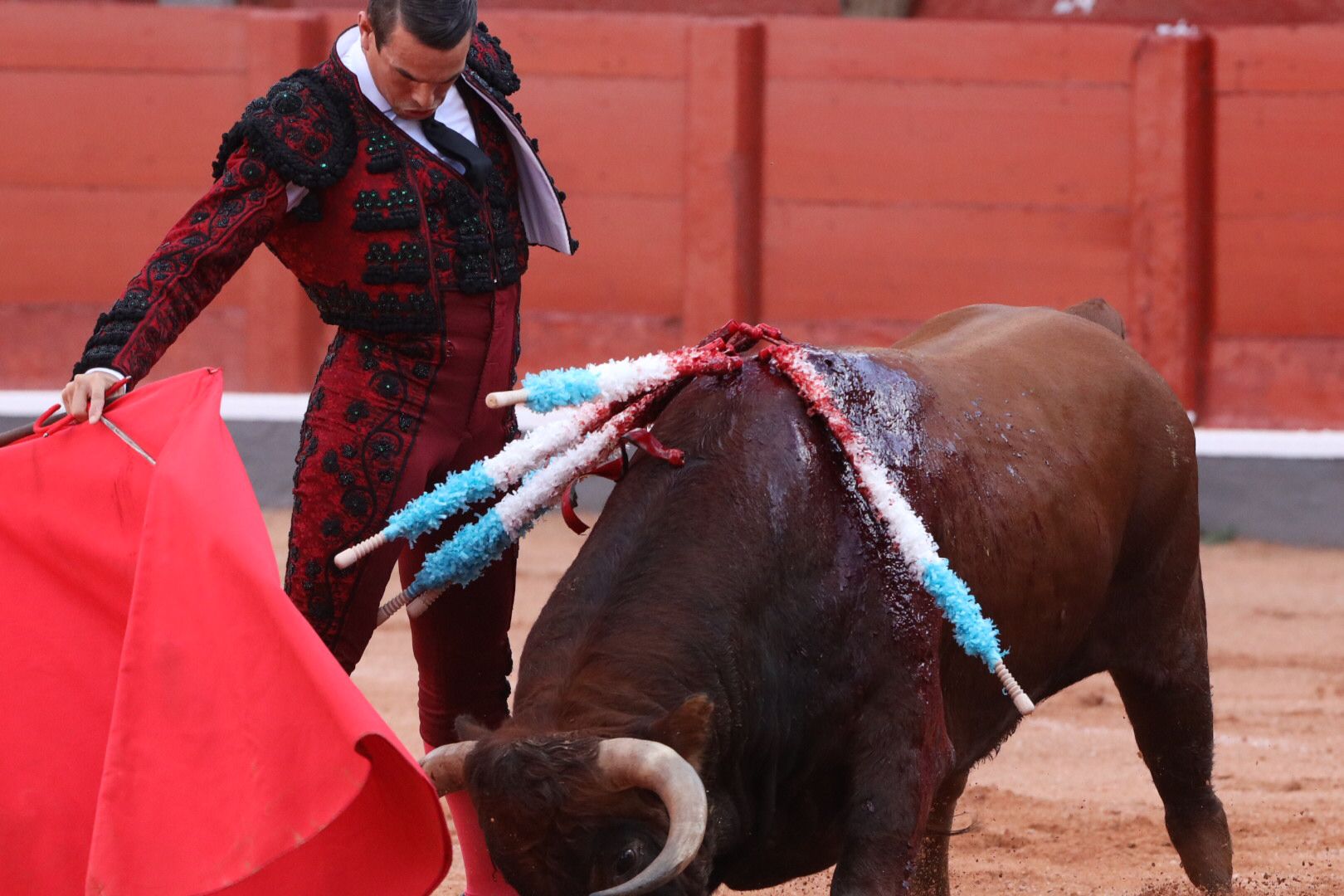 José María Manzanares (primer toro) Primera corrida de abono de la Feria Virgen de la Vega 2021 (7)