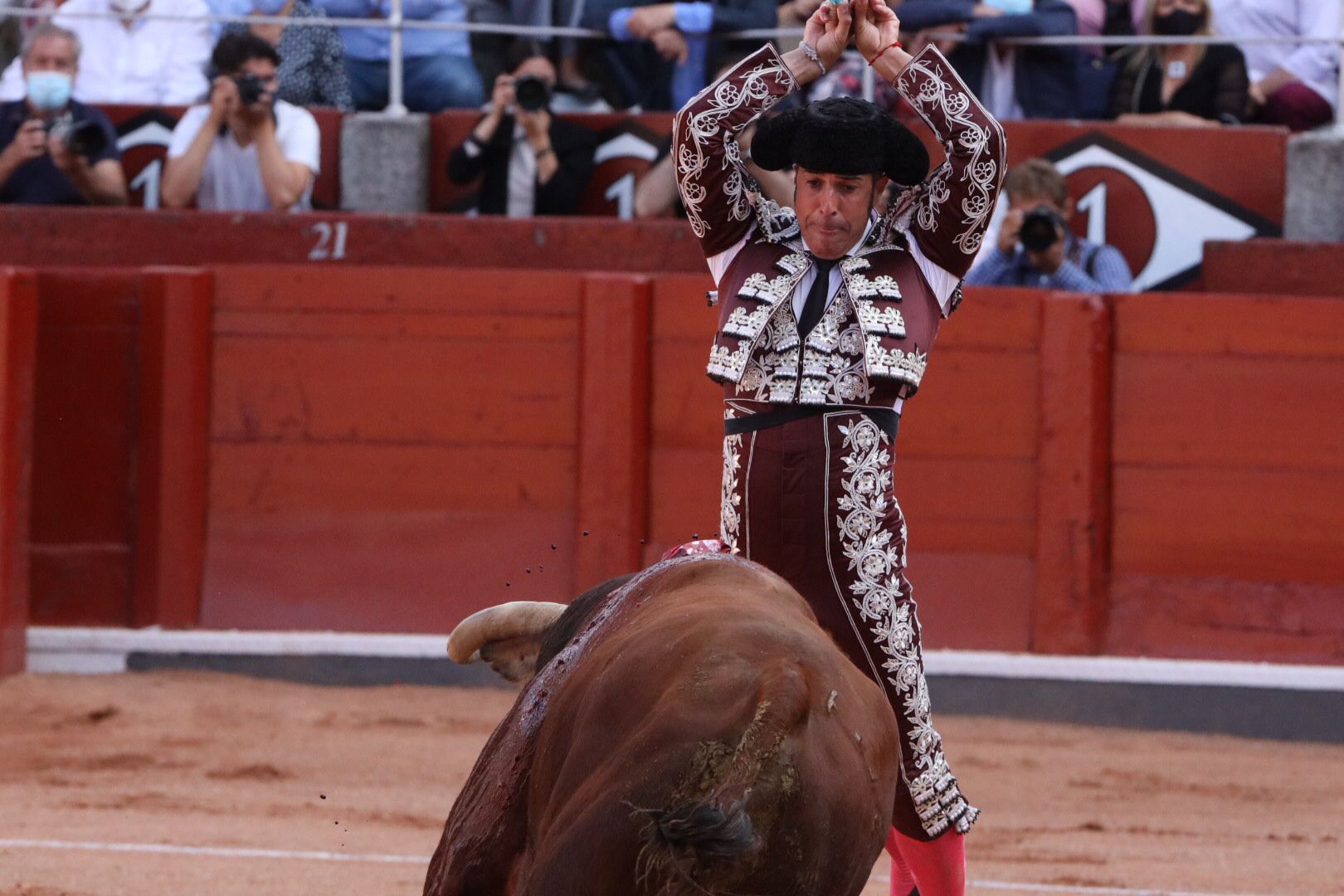 José María Manzanares (primer toro) Primera corrida de abono de la Feria Virgen de la Vega 2021 (9)