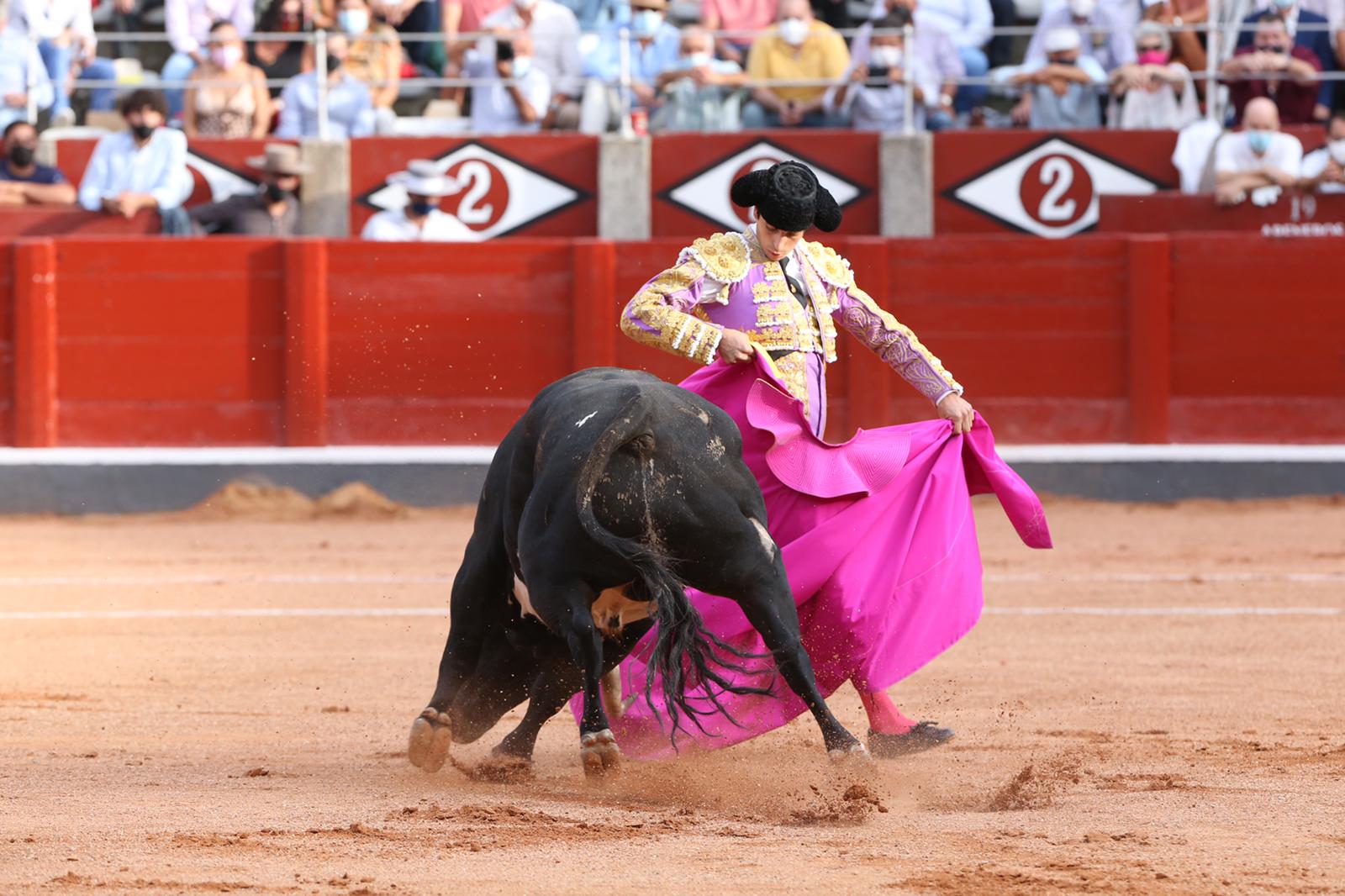 Alejandro Marcos primer toro (1)