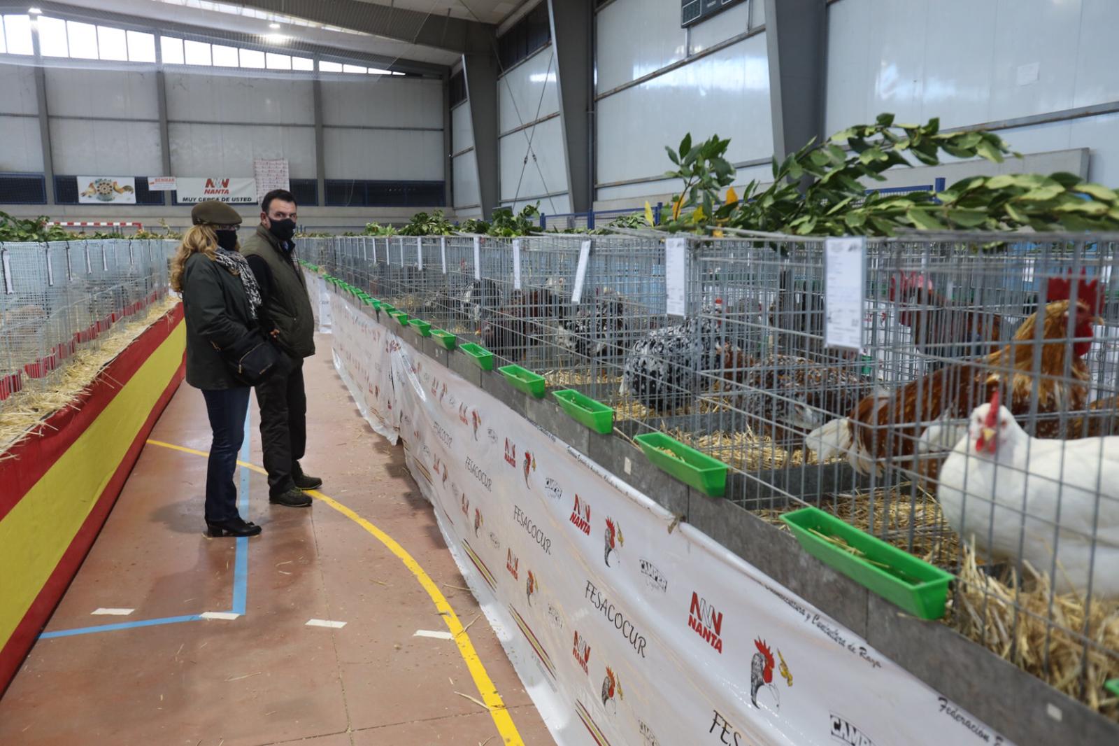 II Feria de Avicultura y Cunicultura de Calzada de Valdunciel 14