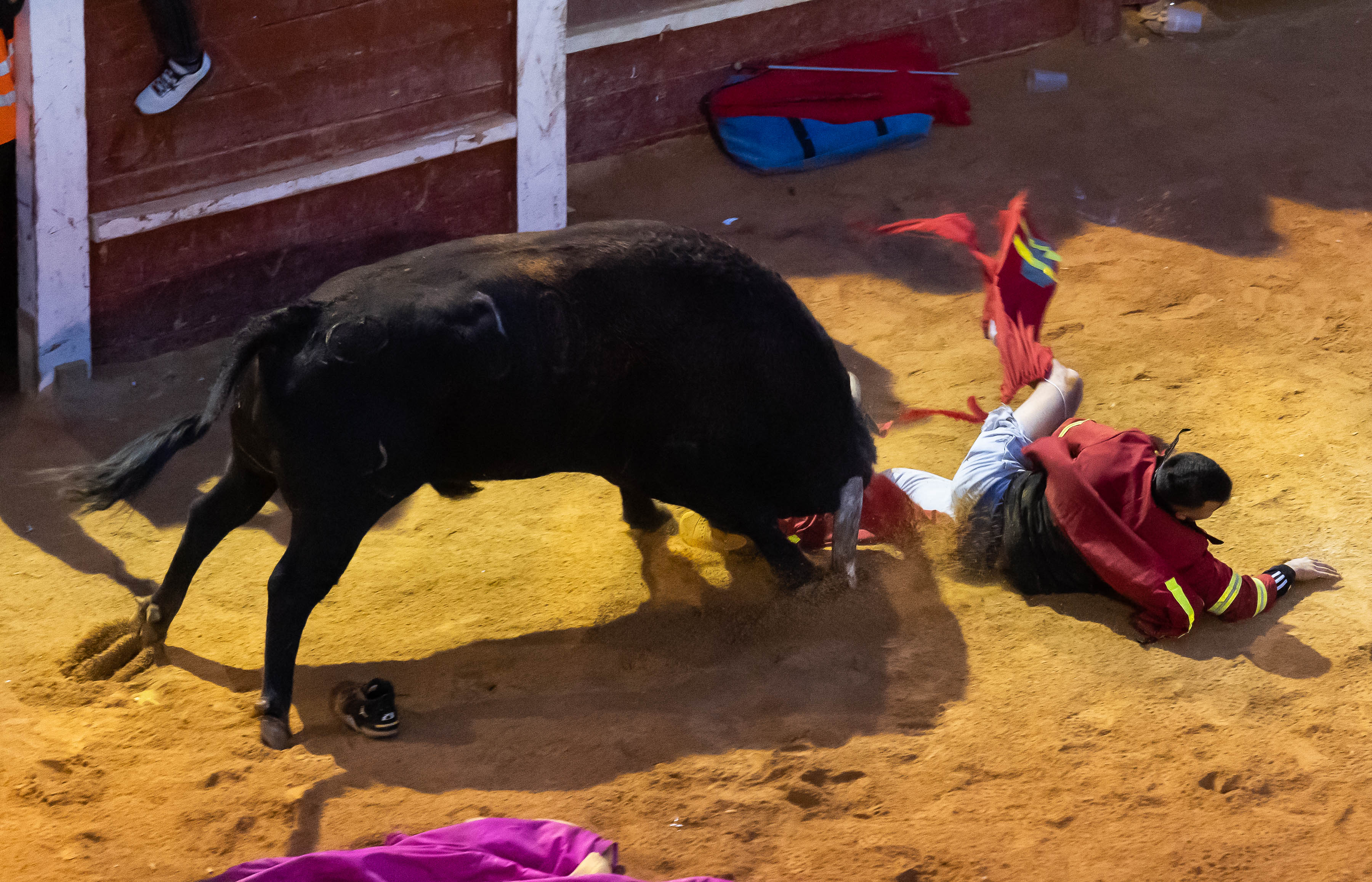 Vicente : ICAL. Cogida en la capea de la tarde en el Carnaval del Toro de Ciudad Rodrigo