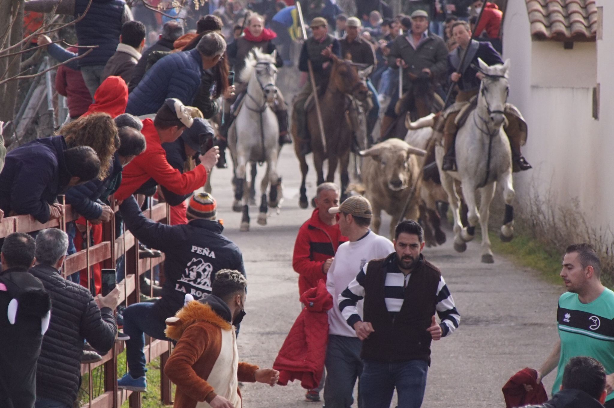 Encierro a caballo carnaval Ciudad Rodrigo 