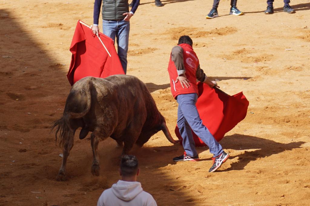 Novillada sin picadores en el Carnaval del Toro de Ciudad Rodrigo 2022 (domingo, 27 de febrero) 20
