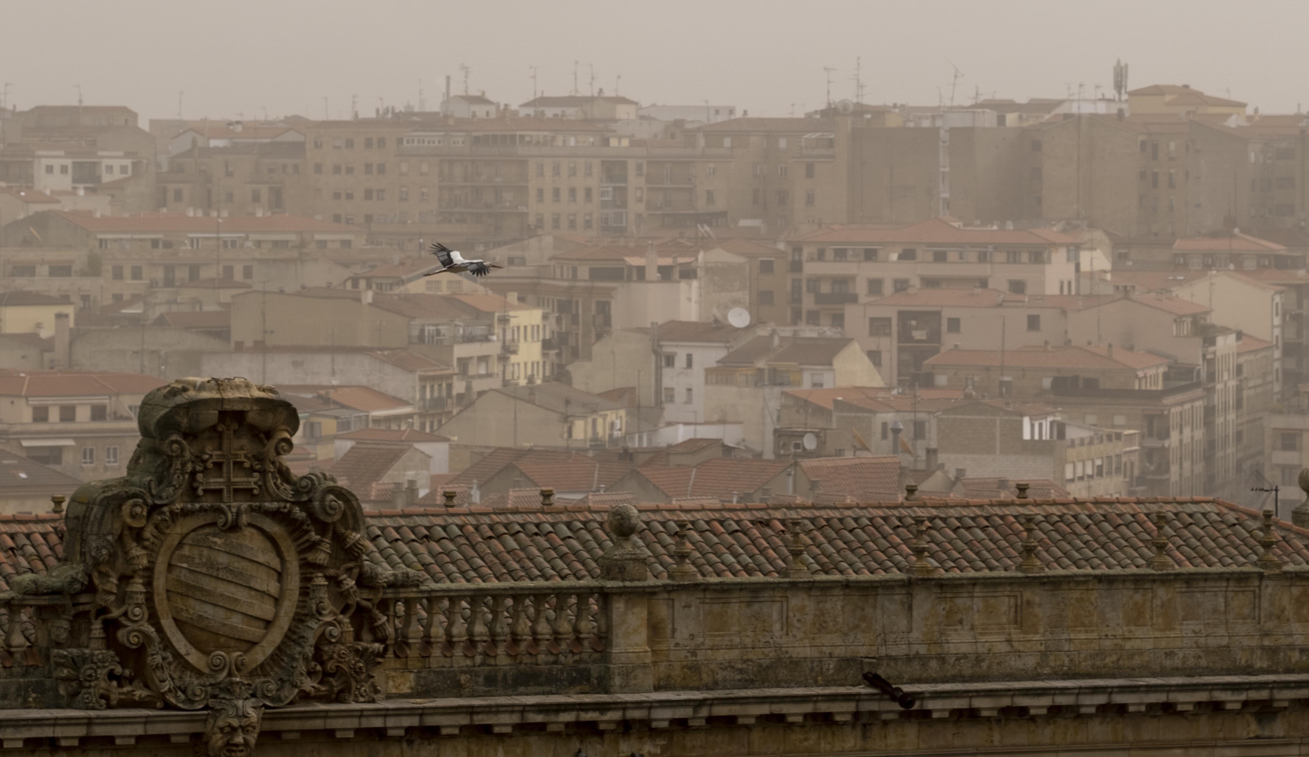Calima en Salamanca   Fotos David Arranz (Agencia ICAL) 