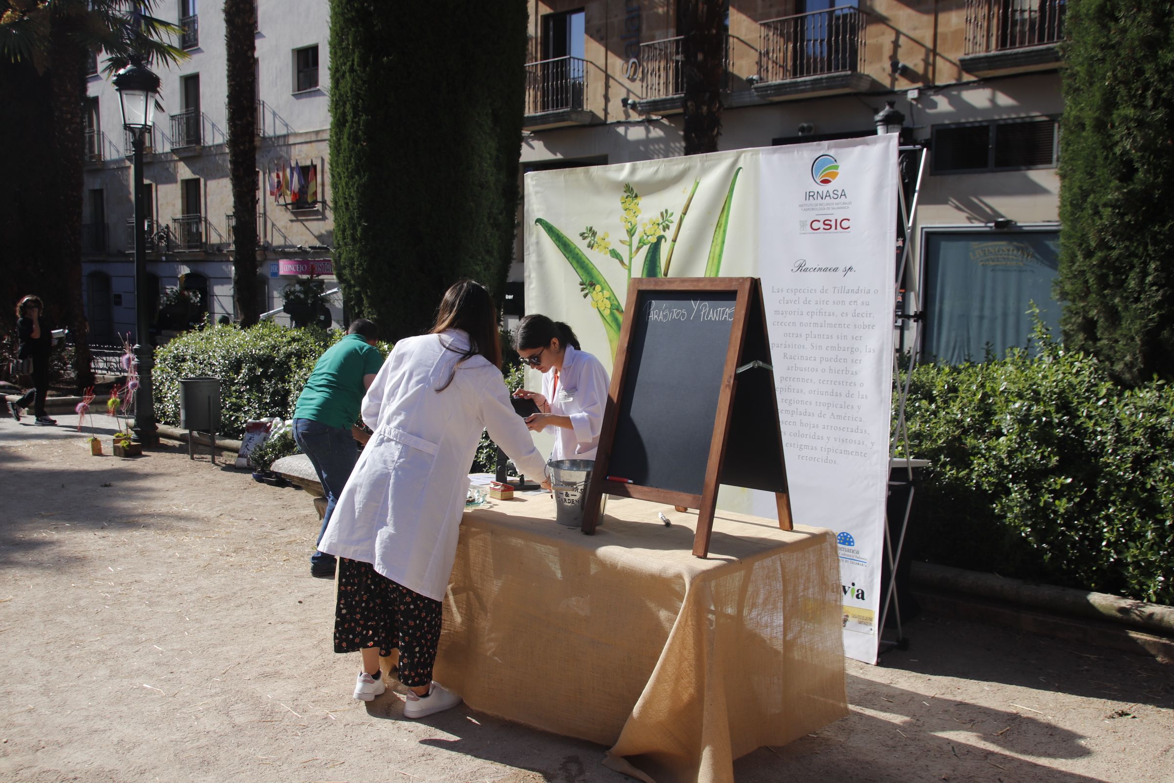 ‘Salamanca: Fascinación Verde’