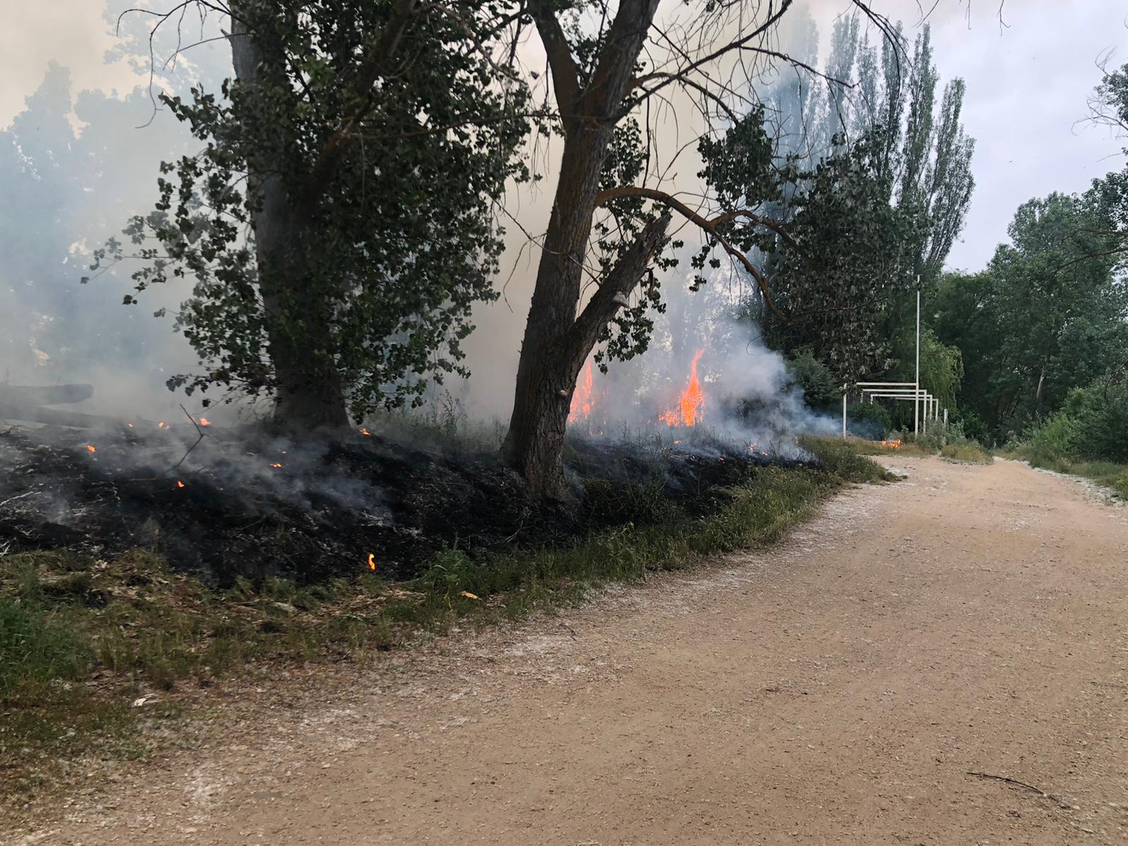 Los Bomberos de la Diputación sofocan un incendio en Cabrerizos (5)