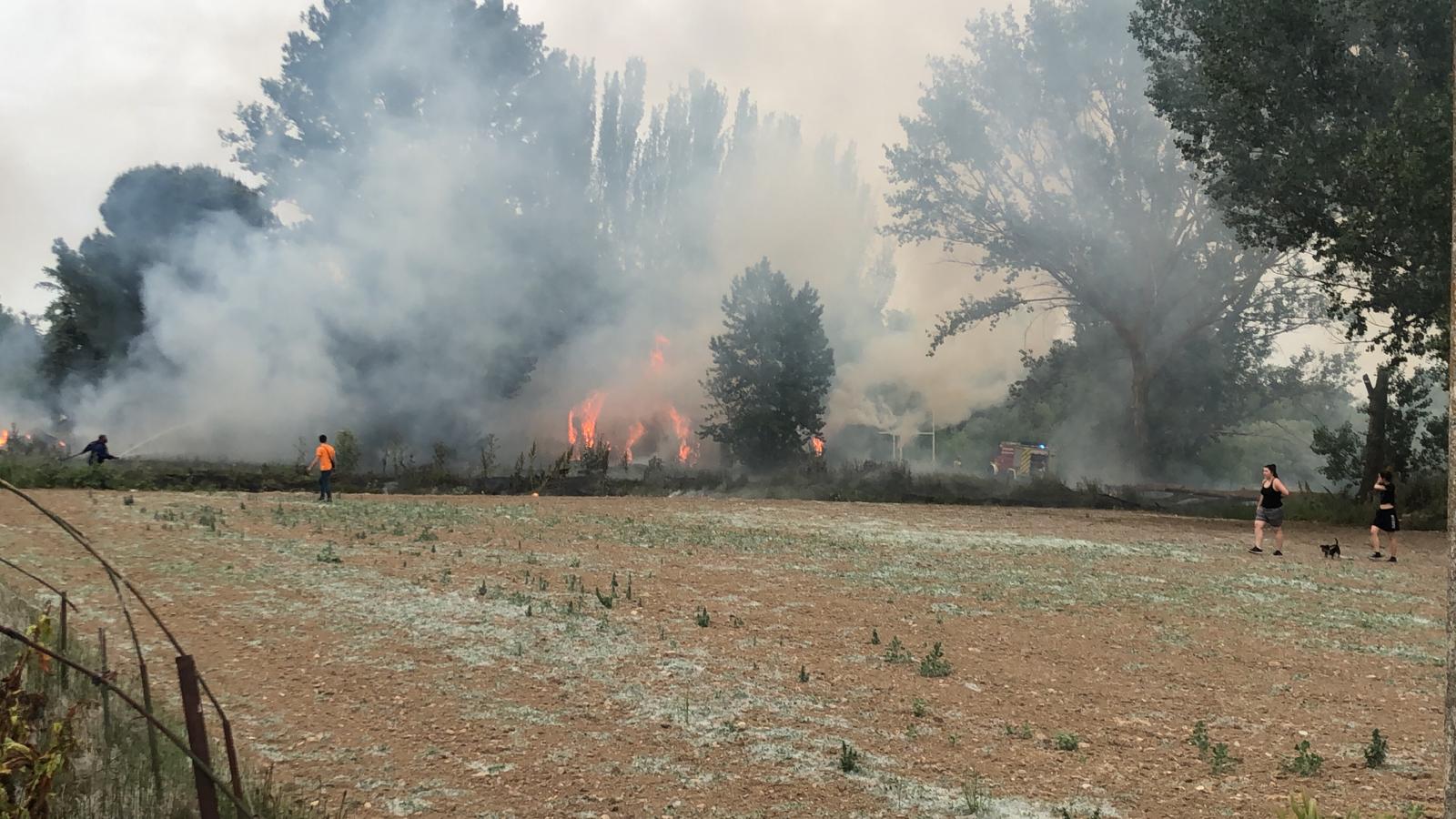 Los Bomberos de la Diputación sofocan un incendio en Cabrerizos (6)