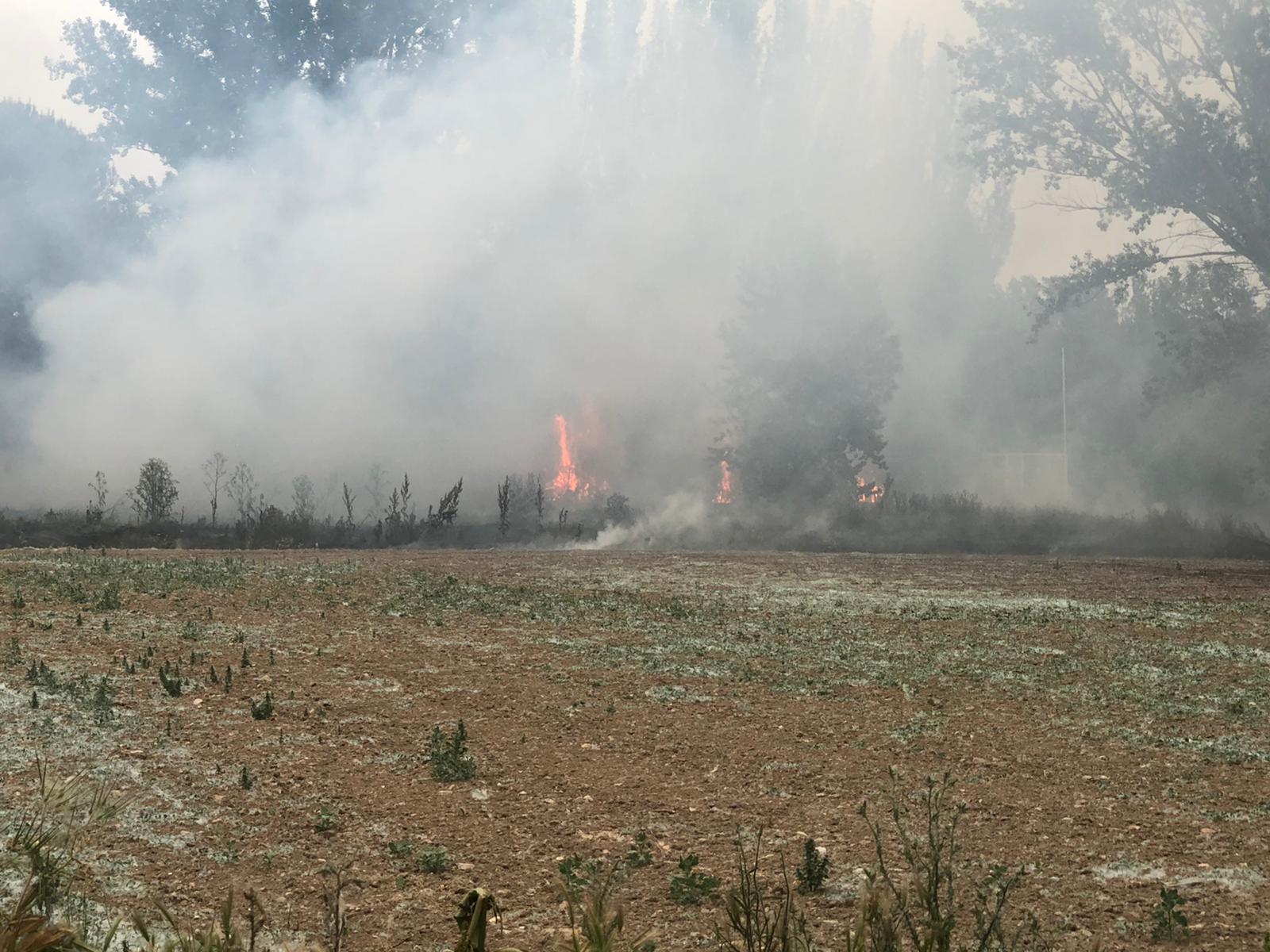 Los Bomberos de la Diputación sofocan un incendio en Cabrerizos (7)