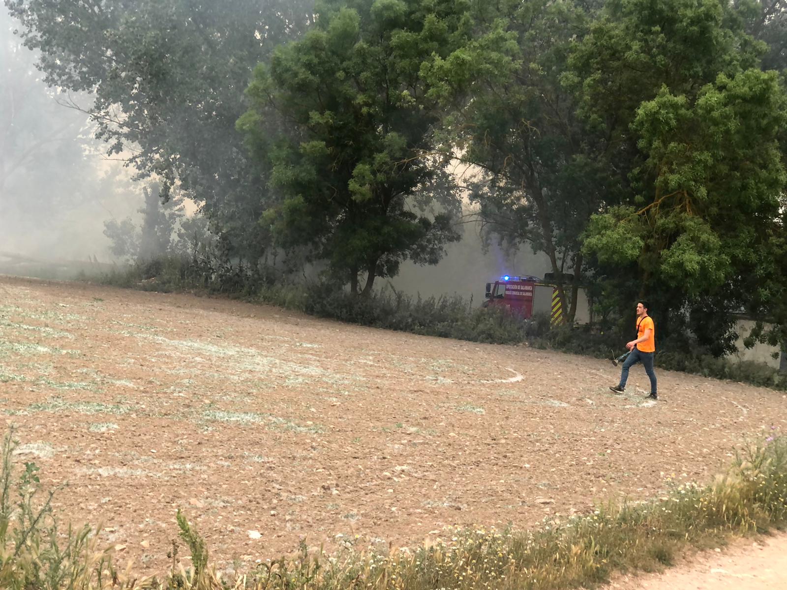 Los Bomberos de la Diputación sofocan un incendio en Cabrerizos (9)