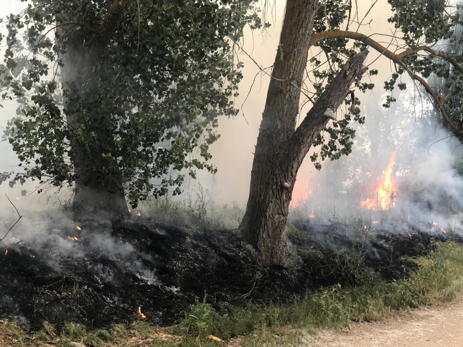 Los Bomberos de la Diputación sofocan un incendio en Cabrerizos (2)