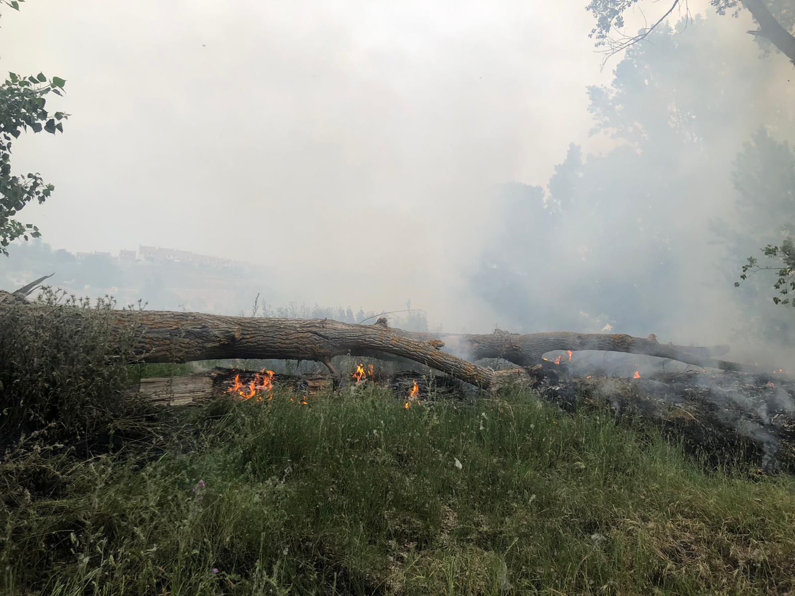 Los Bomberos de la Diputación sofocan un incendio en Cabrerizos (4)