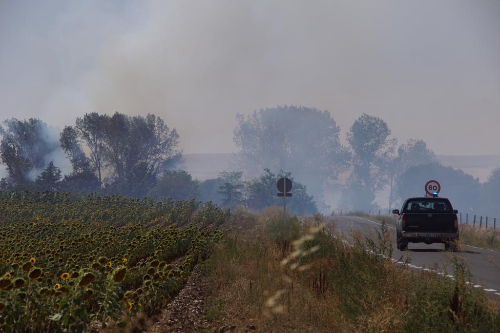 Incendio forestal en Aldeaseca de Alba. FOTO S24H (3)