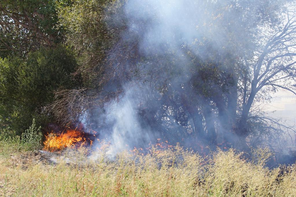 Incendio forestal en Aldeaseca de Alba. FOTO S24H (9)