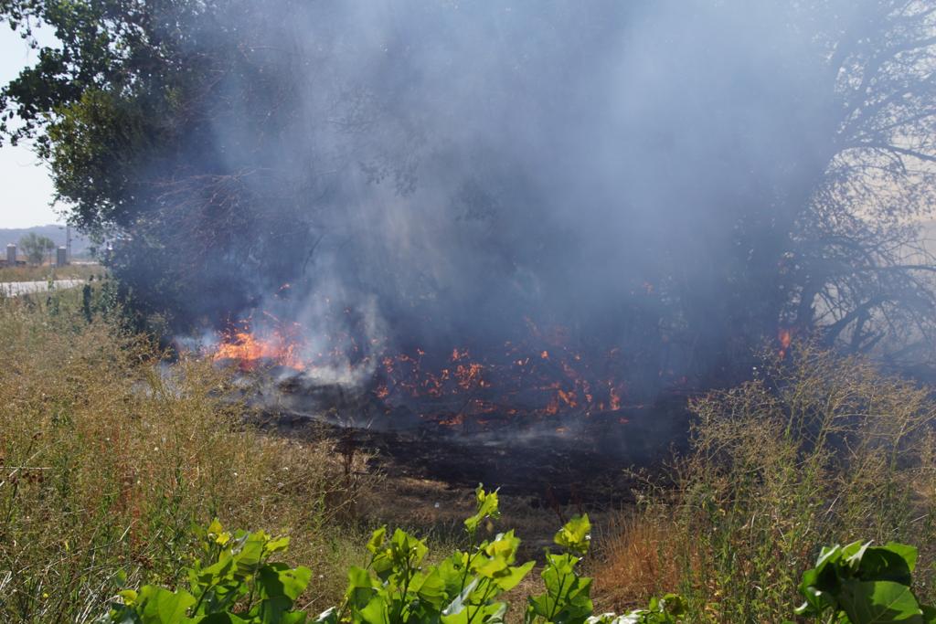 Incendio forestal en Aldeaseca de Alba. FOTO S24H (10)