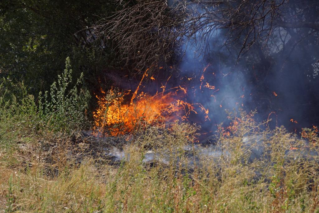 Incendio forestal en Aldeaseca de Alba. FOTO S24H (11)